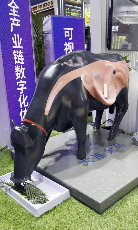 587f4f04cac74647999304ec5d73a705.PNG