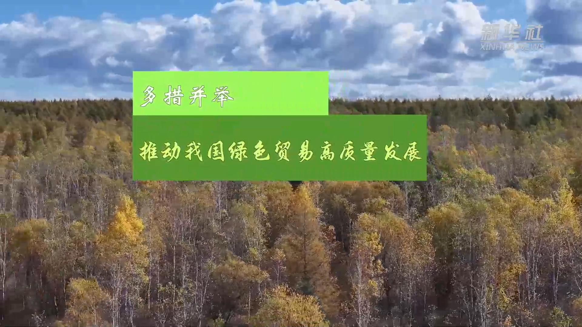 多措并举 推动我国绿色贸易高质量发展