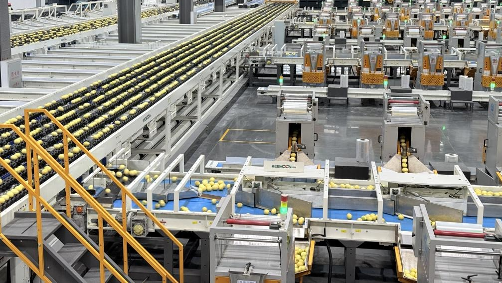 跨越山海，一颗柠檬靠什么“闯世界”？