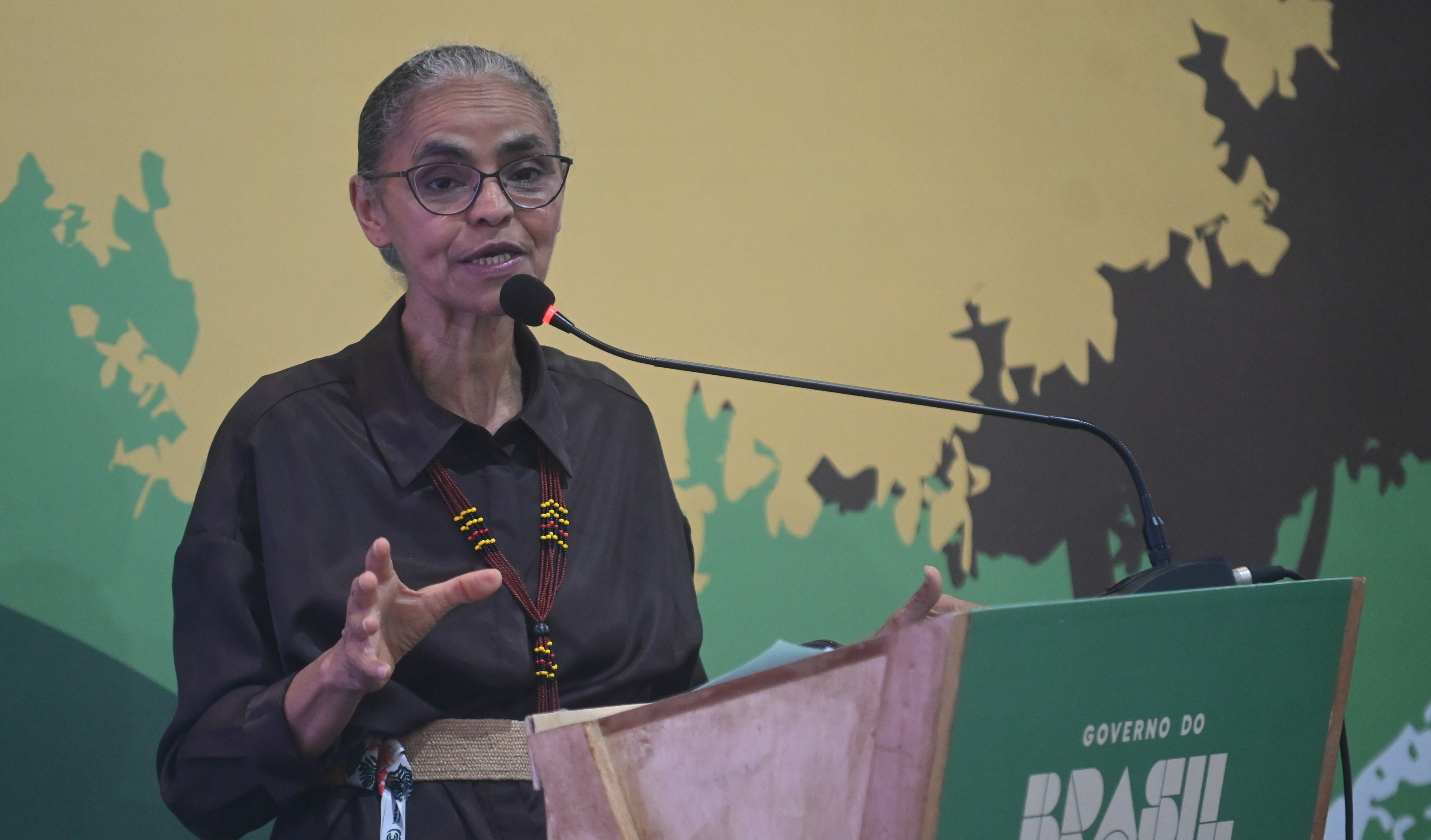 巴西环境和气候变化部长：中国助力全球南方应对气候变化