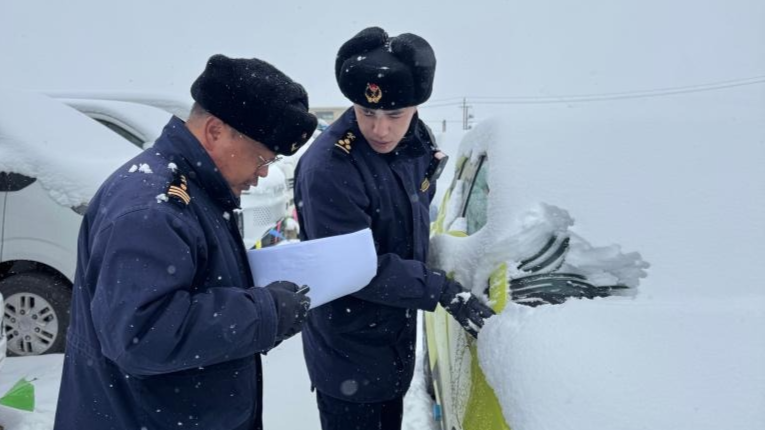 西藏里孜口岸通关两周年累计监管货物超5300吨