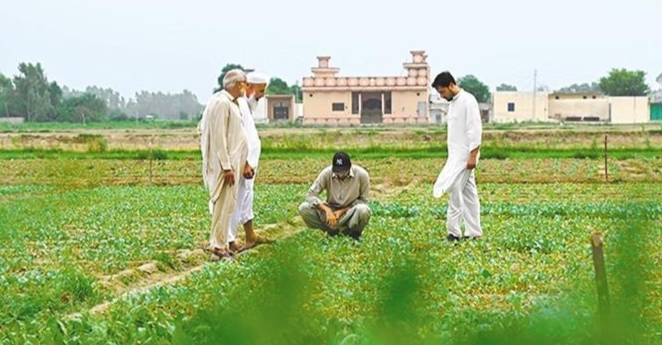 中巴经济走廊升级正当时