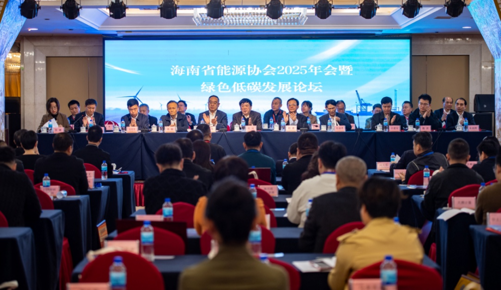 海南省能源协会2025年会暨绿色低碳发展论坛在海口举办