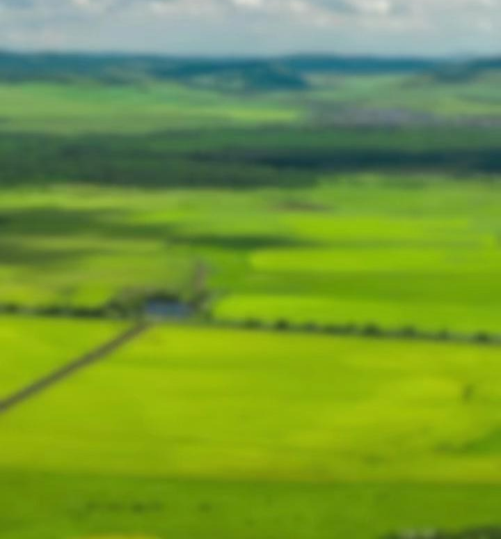 向北开放新引擎 内蒙古自贸试验区来了