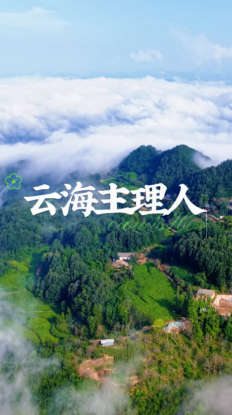 云海主理人