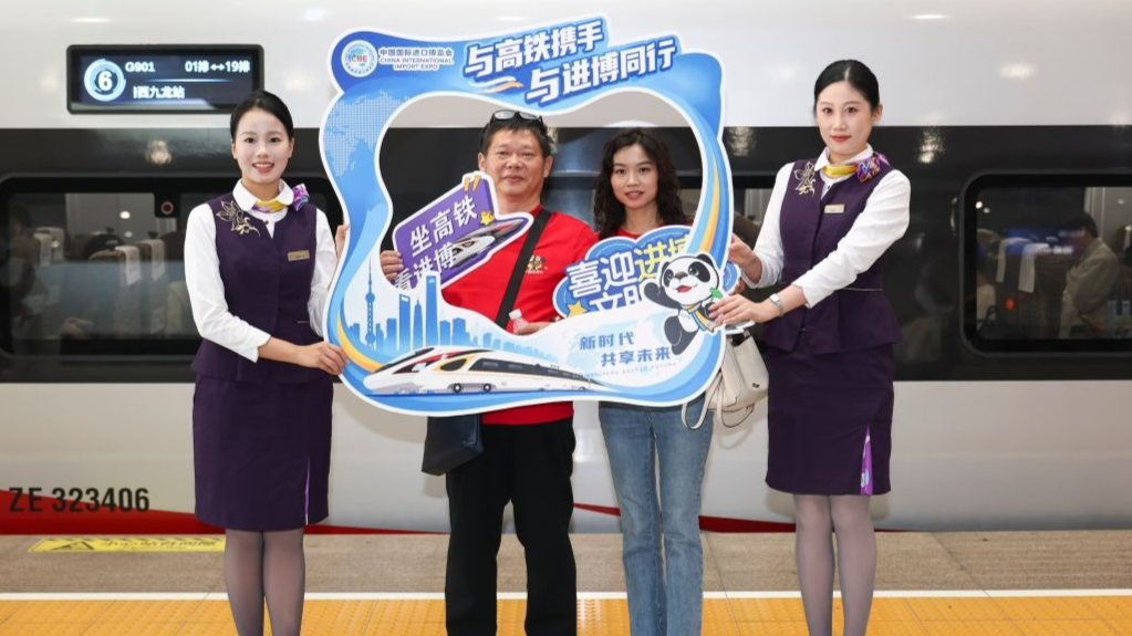 上海：高铁迎进博