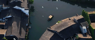 478565186845011969.gif