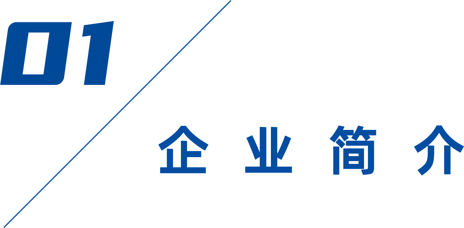 一带一路 进出口银行专题-企业简介