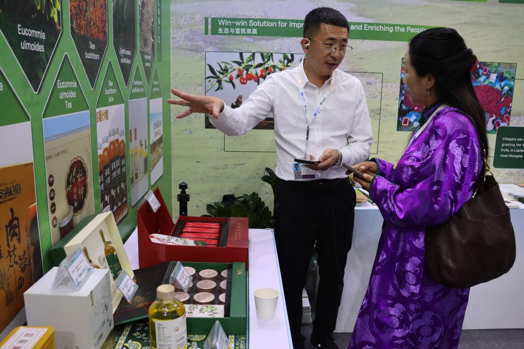 L'expérience chinoise contre la désertification présentée lors de la COP17 à Oulan-Bator