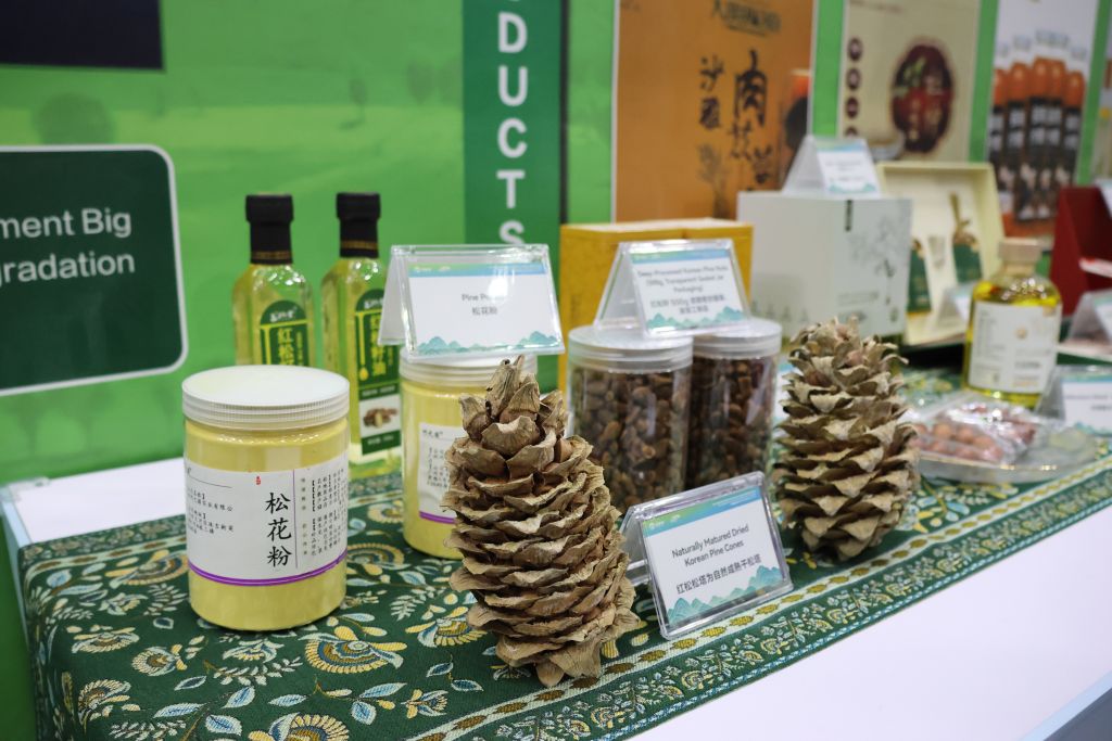 L'expérience chinoise contre la désertification présentée lors de la COP17 à Oulan-Bator