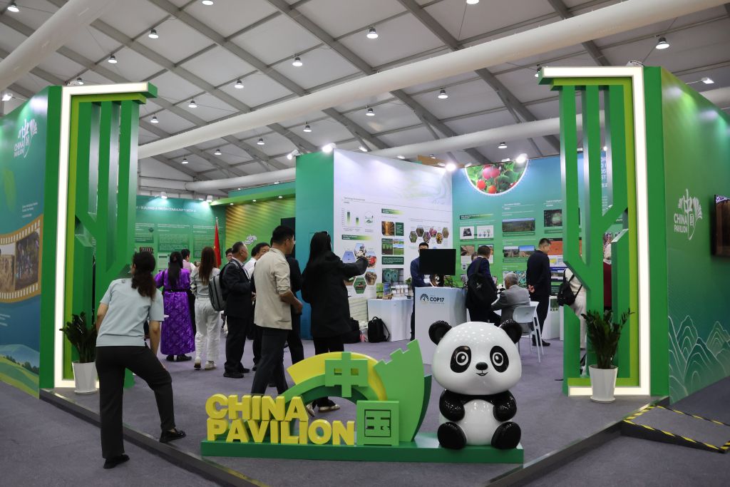 L'expérience chinoise contre la désertification présentée lors de la COP17 à Oulan-Bator