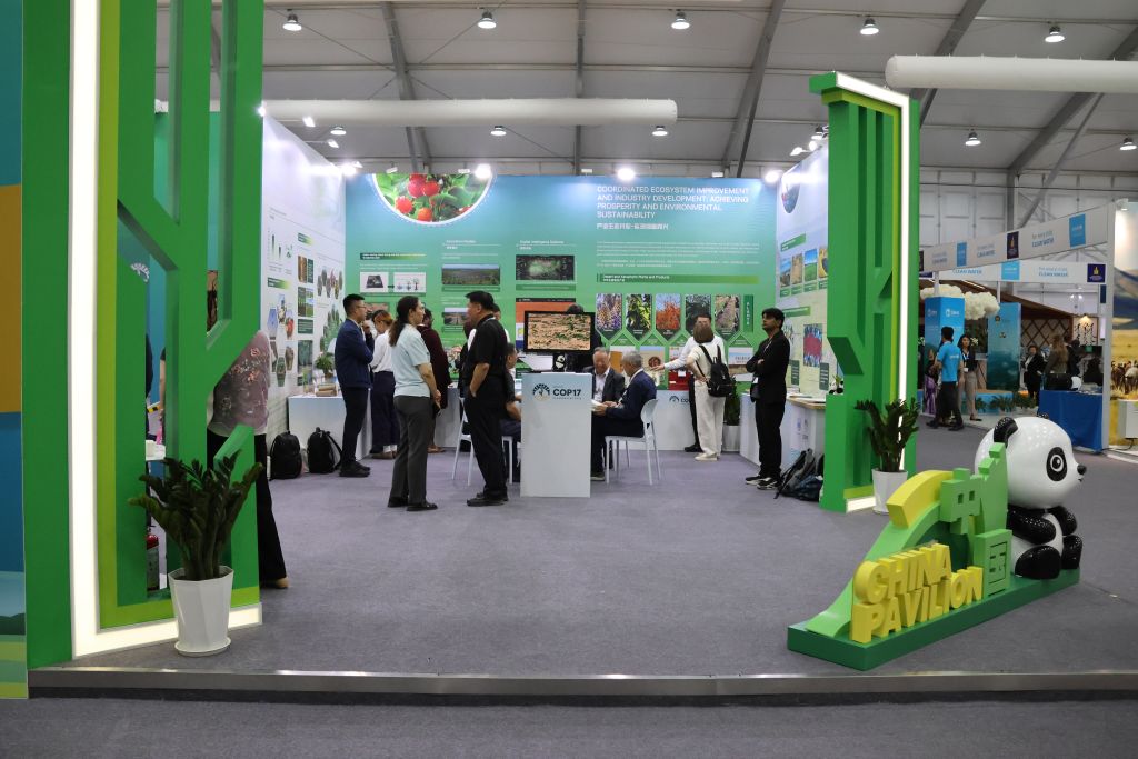 L'expérience chinoise contre la désertification présentée lors de la COP17 à Oulan-Bator