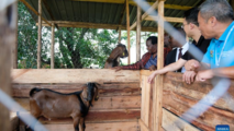 Uganda imports Chinese hybrid goats to boost livestock industry