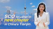 GLOBALink | SCO to usher in new chapter in China's Tianjin | Sunny's Spotlight