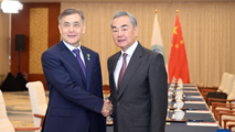 SCO can play bigger role in regional stability, development: Chinese FM