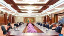 China's top legislator, top political advisor meet with president of Madagascar's Senate