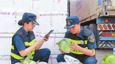 云南：上半年河口口岸跨境客货运输实现两位数增长