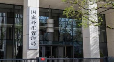 权威数读·经济半年报丨跨境贸易和投融资继续保持活跃