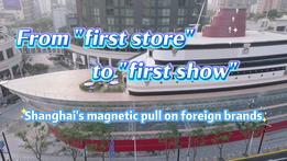 GLOBALink | From "first store" to "first show": Shanghai's magnetic pull on foreign brands