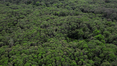 守护家乡绿水青山，续写中国情缘