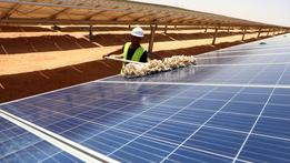 Interview: China leads green transition with global impact, says Egyptian ecologist