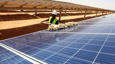 Interview: China leads green transition with global impact, says Egyptian ecologist