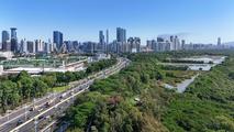 Shenzhen leads Chinese cities in foreign trade for Jan-July