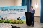 China's Pengfei Group promotes hydrogen tech and cultural tourism projects in Ireland and Romania