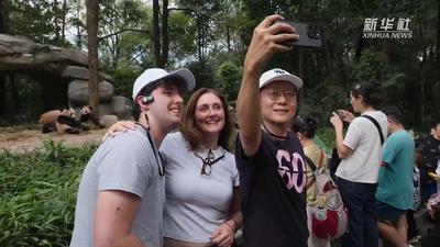 外交官大熊猫国家公园行 感受中国生态保护的生动实践