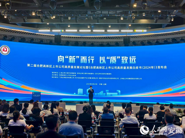 合肥高新区：境内外上市公司35家，占全市40%
