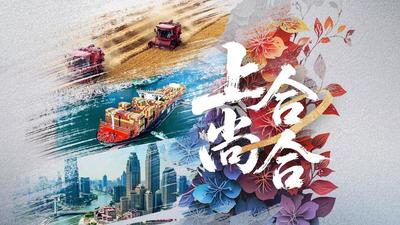 纪录片丨上合，尚合