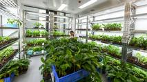 (SCO Tianjin Summit)"Laowai" in China | Pakistani expert sows seeds of cross-border agricultural cooperation