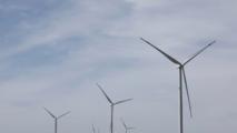 Feature: China, SCO partners join hands for more sustainable future