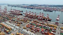 山东港口青岛港：面向上合组织国家货物吞吐量和航线实现“双增长”