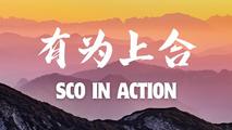SCO in Action