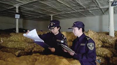 “薯”你最强！甘肃马铃薯出口同比增长超14倍