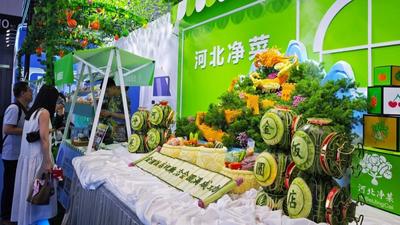 链接京津 货通全球——河北商贸物流新活力观察