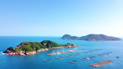 一方海：创新金鮸鱼产业发展模式，打造广东“蓝色粮仓”新名片