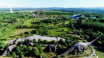 Across China: China's "dinosaur hometown" emerges as global fossil research hub