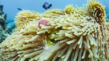 Hangzhou to host 5th World Congress of Biosphere Reserves this month