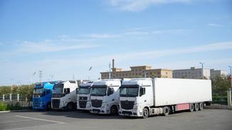 Feature: Xinjiang's e-commerce surge brings Chinese goods closer to world