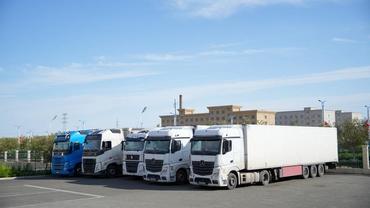 Feature: Xinjiang's e-commerce surge brings Chinese goods closer to world