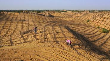 China shares decades of anti-desertification experience at int'l forum