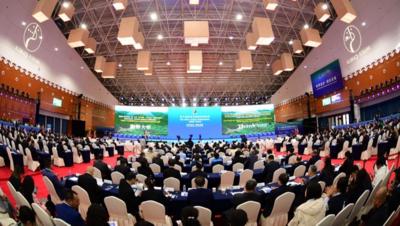 从沙海抗争到生态共赢——写在第十届库布其国际沙漠论坛闭幕后