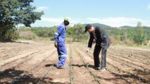 Zimbabwean president urges enhanced cooperation with China