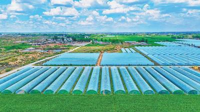 榆阳区孟家湾乡：支部联建强堡垒　产业抱团促共富