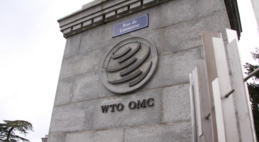 Roundup: China's decision not to seek new special treatment at WTO shows its commitment, says delegate