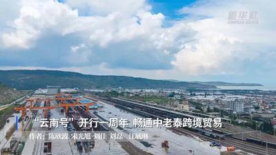 “云南号”开行一周年 畅通中老泰跨境贸易