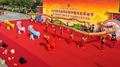 粤桂黔协作共绘产业共荣新图景 2025年河池市庆祝中国农民丰收节活动举行