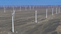 Global energy think tank praises China's world-leading role in clean energy, technology
